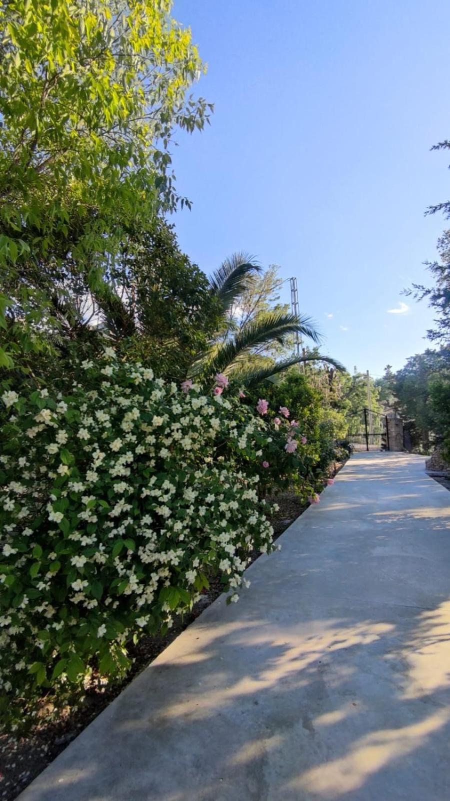 Villa Rosario La Iruela Dış mekan fotoğraf